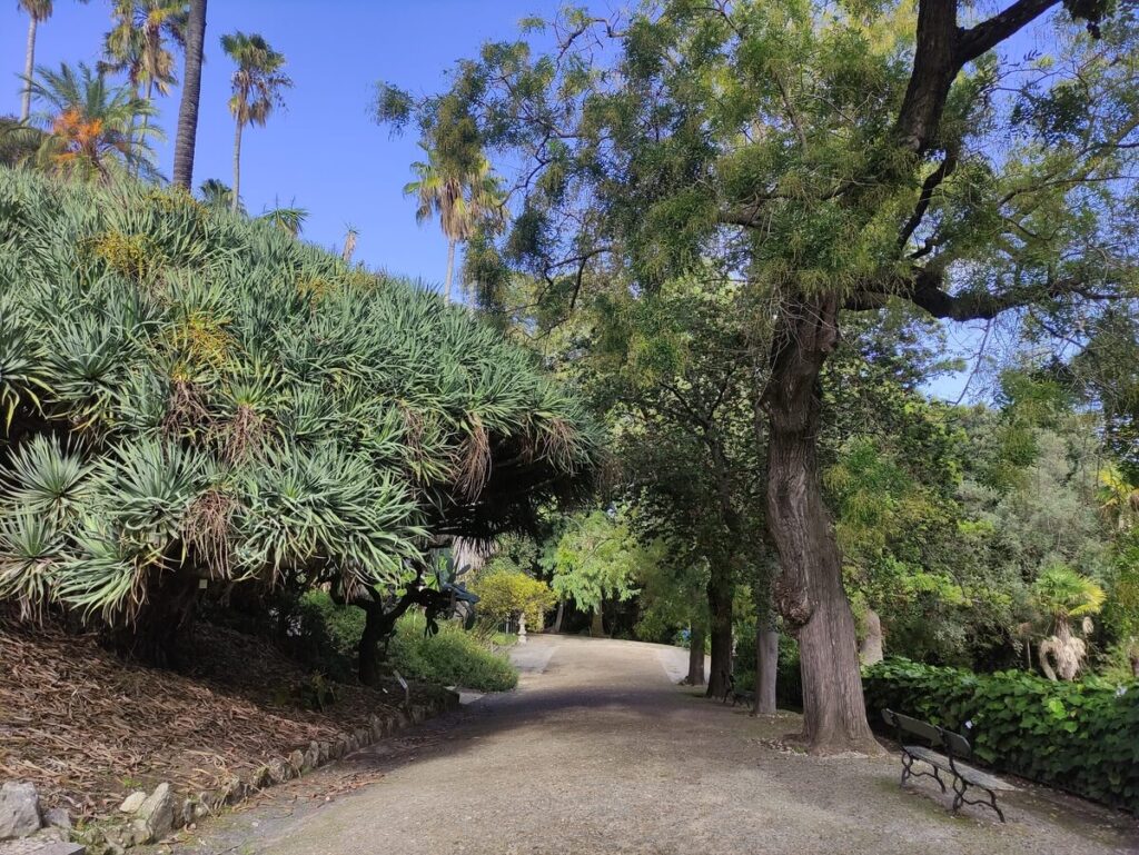 Jardim Botânico de Lisboa
