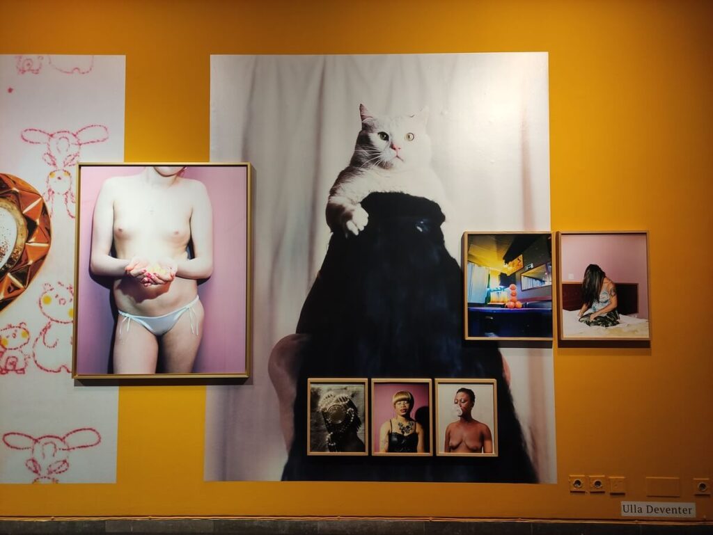 L'opera di Ulla Deventer nel Museo di Arte Contemporanea di Chiado