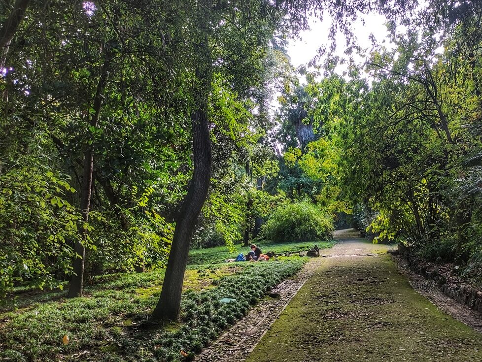 Il Giardino Botanico di Lisbona nel quartiere di Principe Real