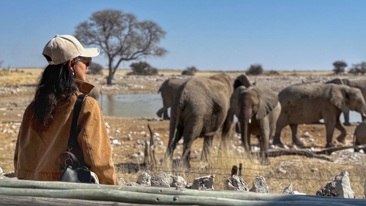 Dove dormire in Etosha National Park