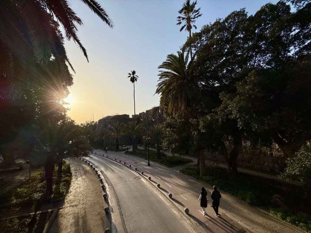 La famosa Via delle Palme (Leoforos Foinikon) nella città di Kos.